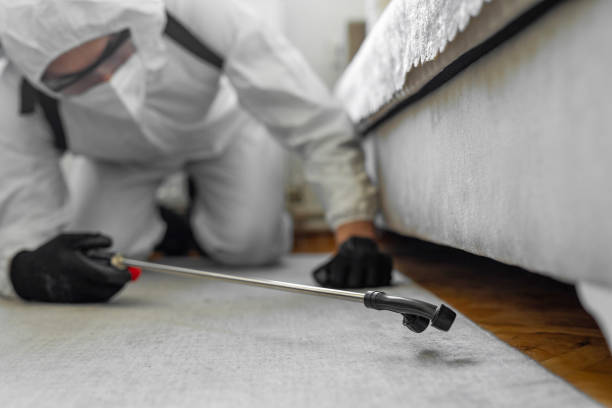 Professional Termite Control technician working in Wharton, TX