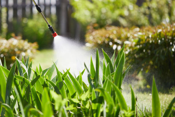24/7 Emergency Termite Control experts in Wharton, TX